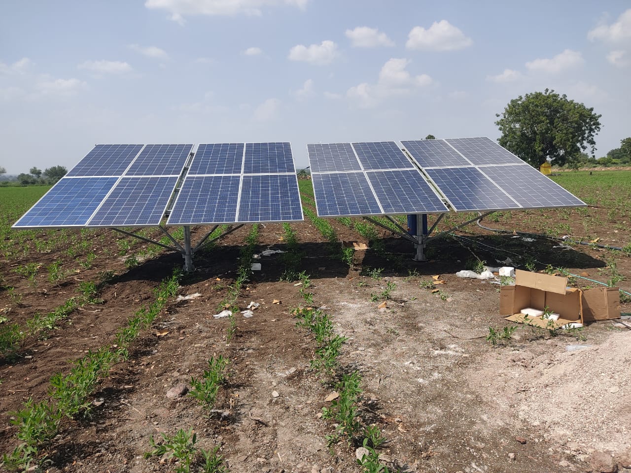 Solar pump and motor